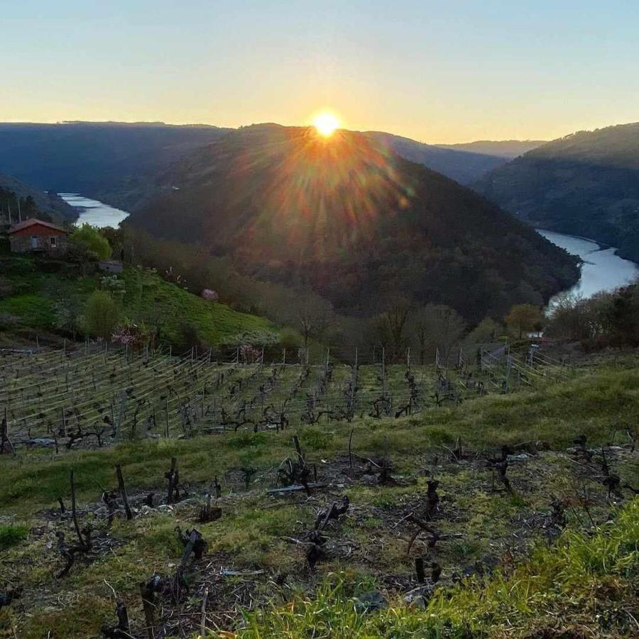 Casa Das Xacias Ribeira Sacra A Airoa  Exterior foto